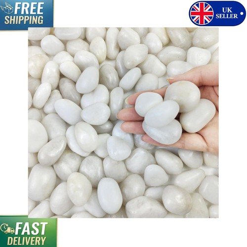 Lbs smooth white pebbles - lbs,