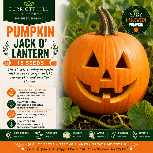 Jack o lantern - 🇬🇧,