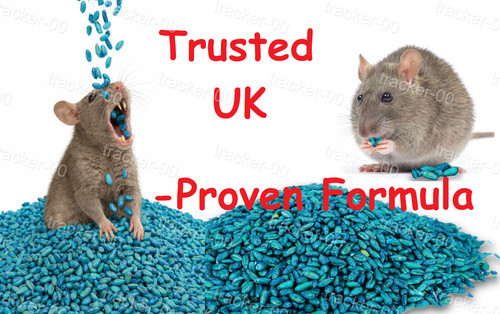 Rat mouse poison rodent killer - mouse,