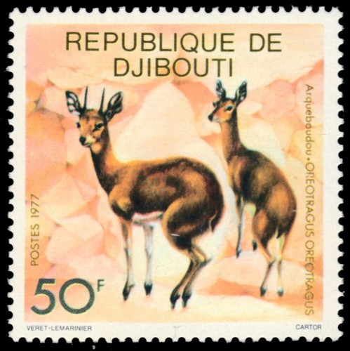 Djibouti 466 klipspringer - 466,
