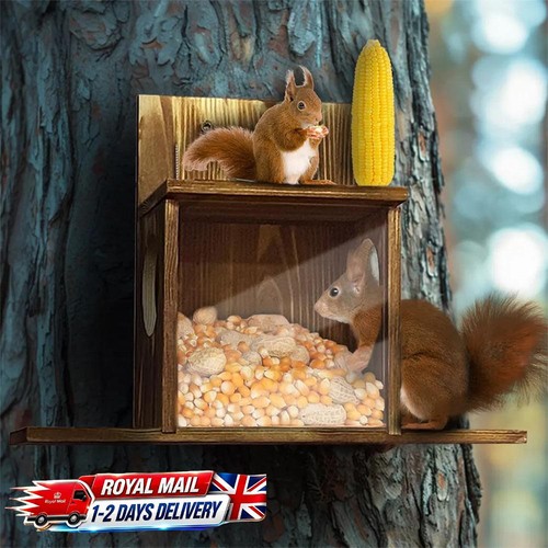 Garden squirrel feeder food - feeder,
