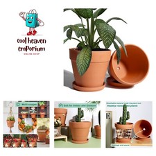 8 Inch Clay Pot for Plant with