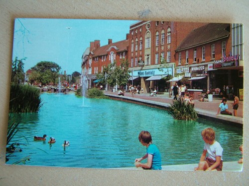 Postcard the pond watford - postcard,