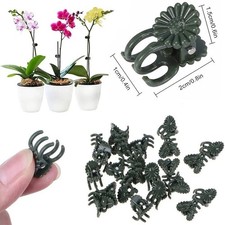 Orchid plant support - plant,