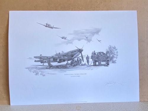 Nicolas trudgian aviation art - aviation,