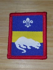 Scouting 2000 scout - scouting,