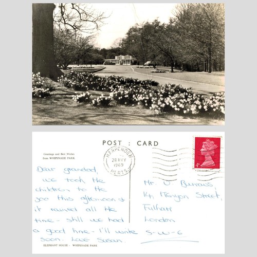 Vintage postcard elephant - postcard,