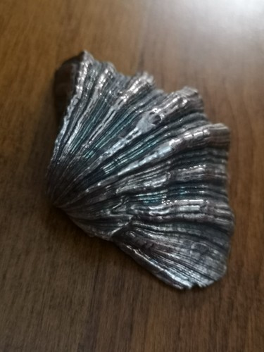 Buccellati silver shell dish - m.buccellati,