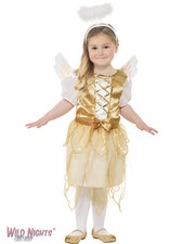 Christmas Girls Angel Fairy Costume
