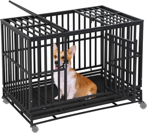 Heavy duty indestructible dog - duty,