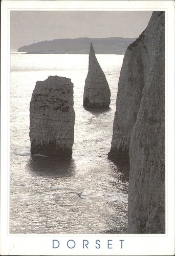 Vintage salmon post - a, card