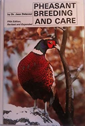 Pheasant breeding and care - pheasant,