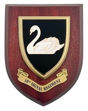 30th signal regiment royal - 30th,