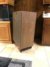 Custom Made Walnut Speaker