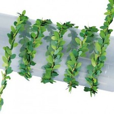Dolls House Climbing Plant 1m