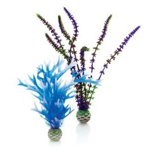 BIORB BLUE/PURPLE PLANT PACK