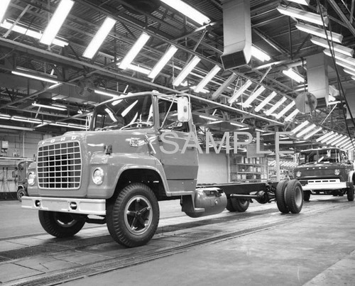 1981 ford truck louisville - 1981,