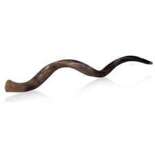 Jumbo Huge 45" (114 cm) Kudu