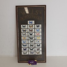 Vintage  Wills Framed  25 Cigarettes Cards - Butterflies