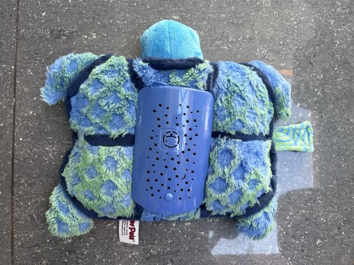 Turtle pillow pet - pillow, dream