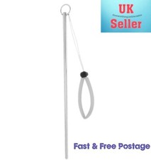 Scuba Diving Underwater