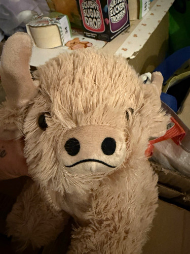 Beige highland cow plush soft - highland,