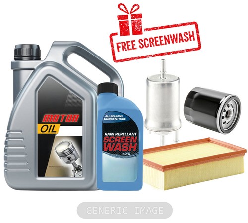 Service kit engine oil 30 - service,
