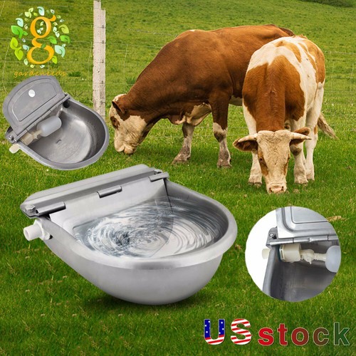 New automatic water stainless - automatic,