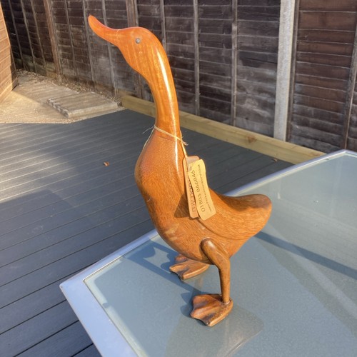 Dcuk the duck company - -,