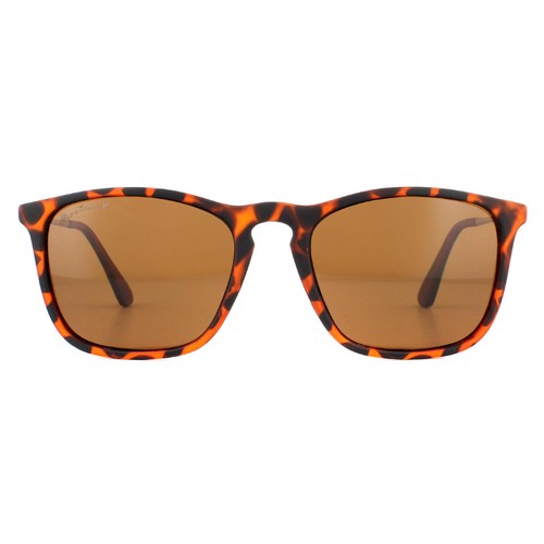 Montana sunglasses mp34 - mp34, c