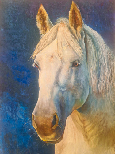 Horse portrait original in - original,