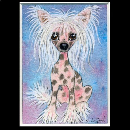 Chinese crested dog - chinese,