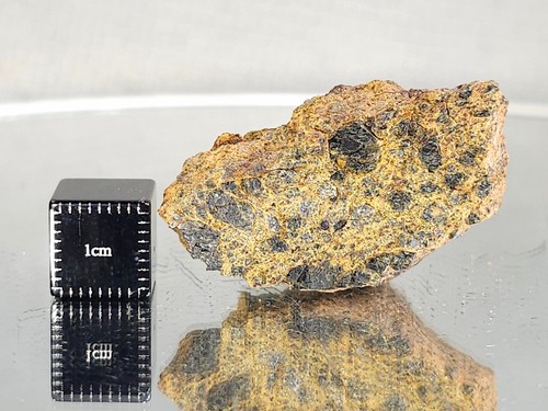 Nwa 14429 diogenite 15 65g - , 15.65g