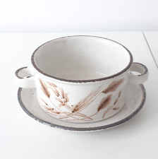 Vintage Midwinter Wild Oats Stonehenge Soup Bowl & Saucer