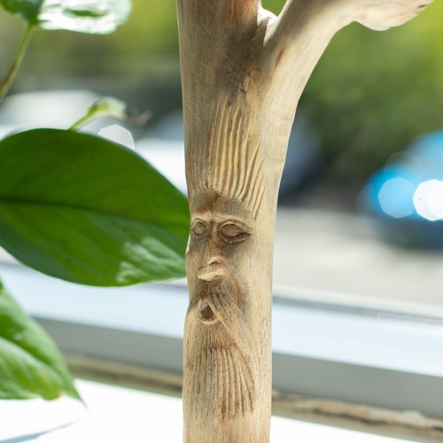 Handmade parasite wood art - wood,