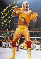 Hulk Hogan Wrestler Wrestling