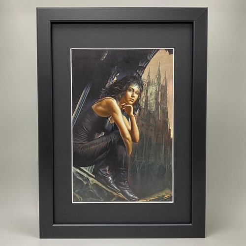 Boris vallejo framed art - vallejo,