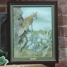 Fox Vixen Watercolour Signed