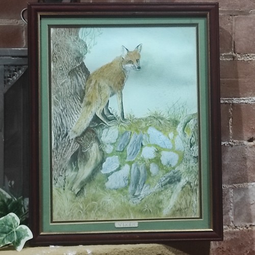 Fox vixen watercolour signed - vixen,