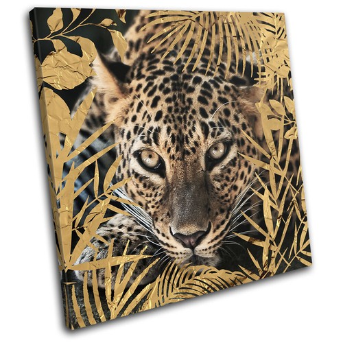 Leopard tropical big - leopard, cat