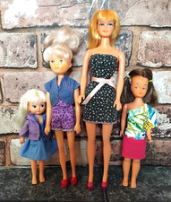 Barbie Clone Fashion Dolls