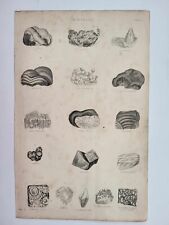 Antique Print Dated 1877 Minerals Gold Silver Malachite Emerald Iron Ore Jasper