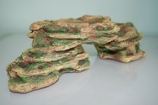 Stunning Vivarium or Aquarium