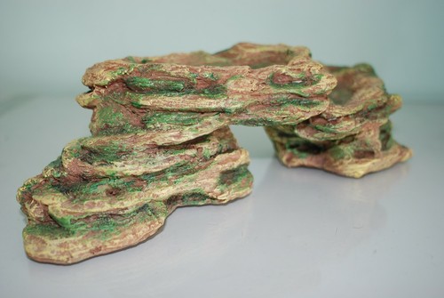 Stunning vivarium aquarium - stunning,
