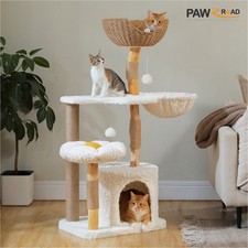PAWZ Road Modern Cat Tree