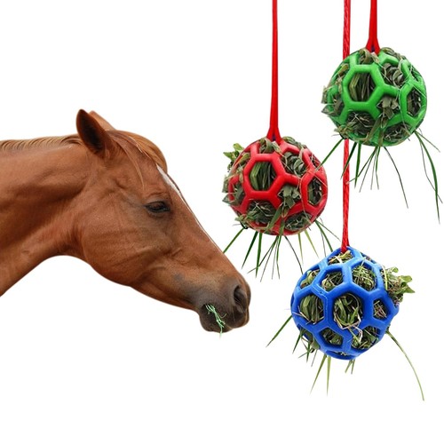 𝟑 𝐏𝐀𝐂𝐊 horse - 𝐏𝐀𝐂𝐊,