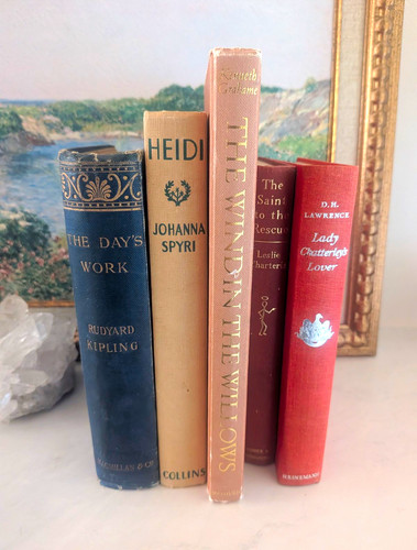 Vintage book bundle heidi 1st - book,