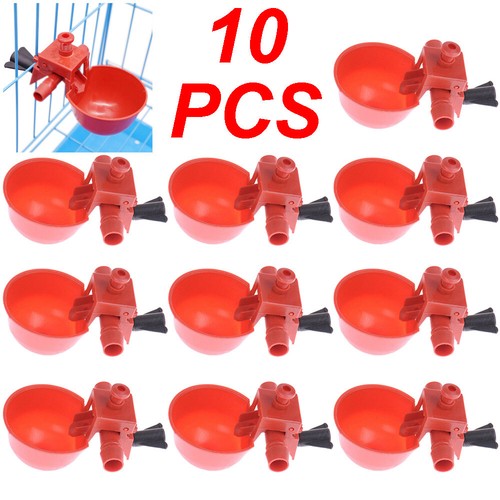 Automatic water cups - water, poultry