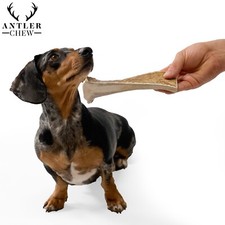 Split Wild Elk Antler Dog Chews Small Medium Large XL...100% Natural - Calcium