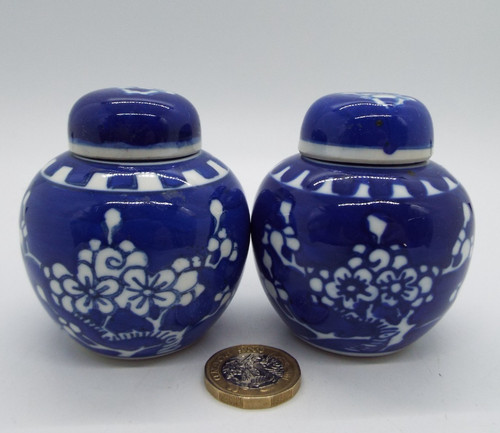 Miniature chinese prunus - x,